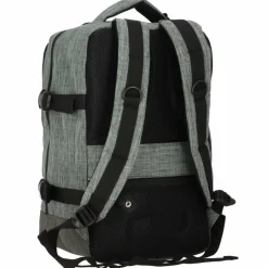 Worldpack Cabin Pro Daypack 40 cm Laptopfach